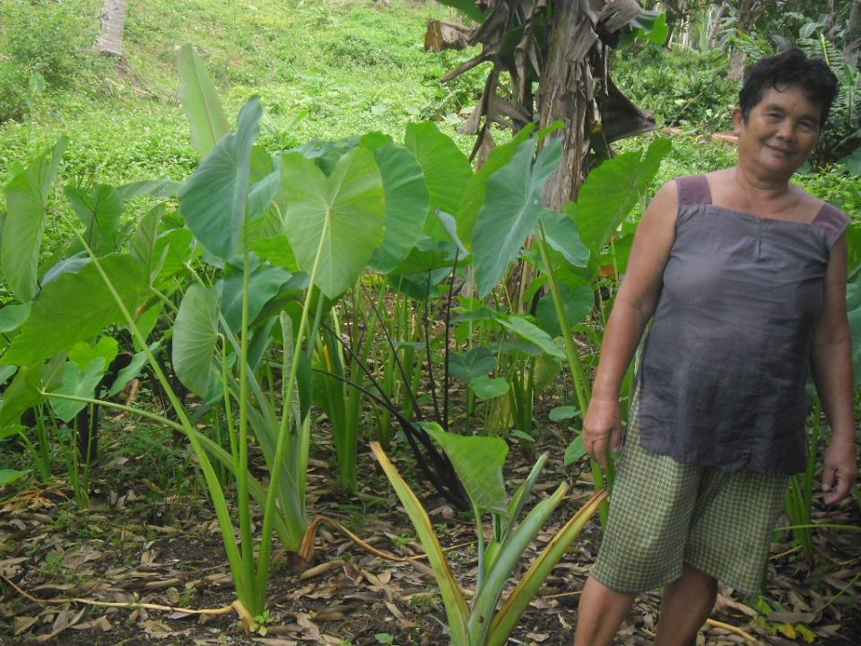 Borrower image