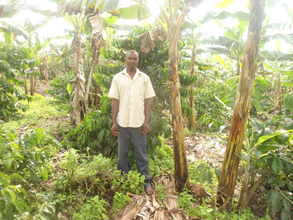 Borrower image