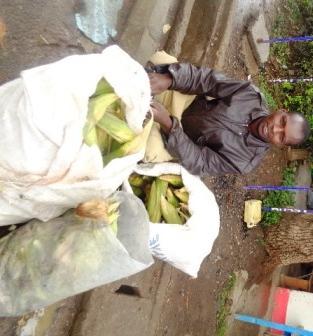 Borrower image