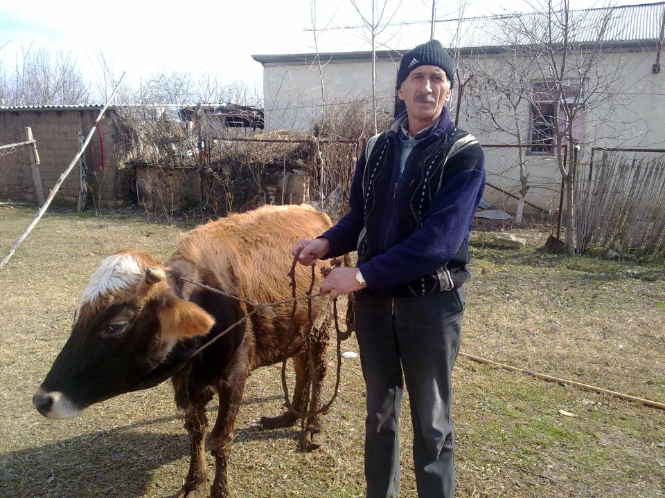 Borrower image