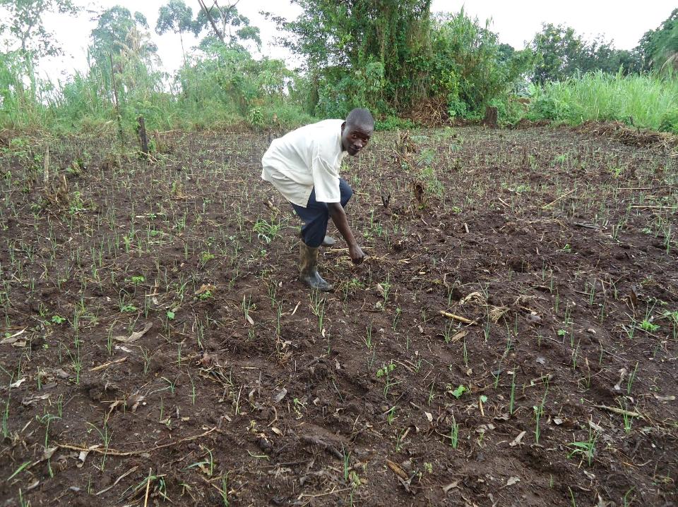 Borrower image