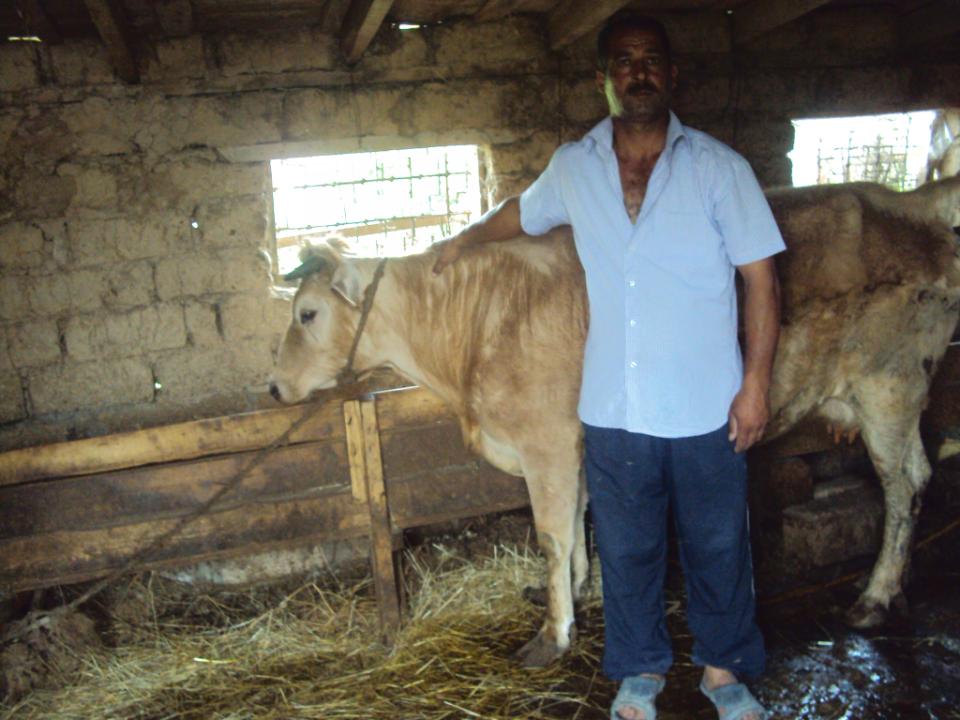Borrower image