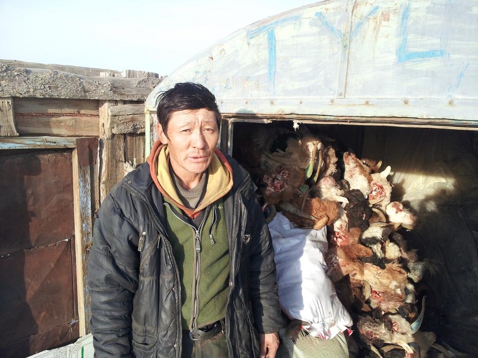Borrower image