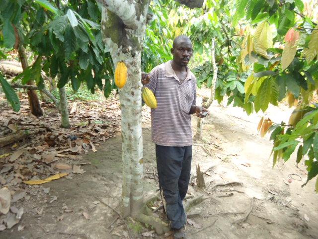 Borrower image