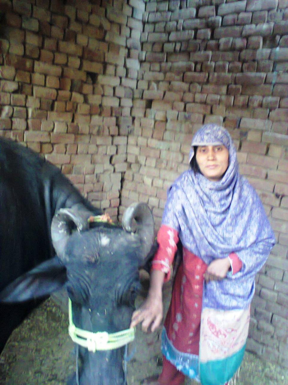 Borrower image