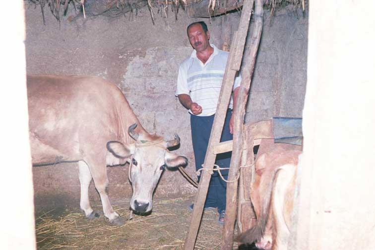 Borrower image