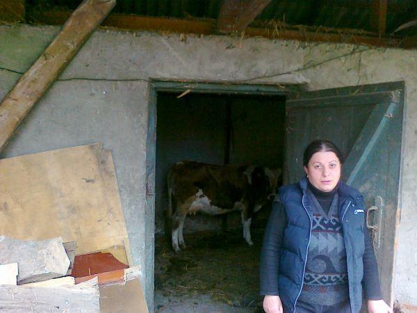 Borrower image