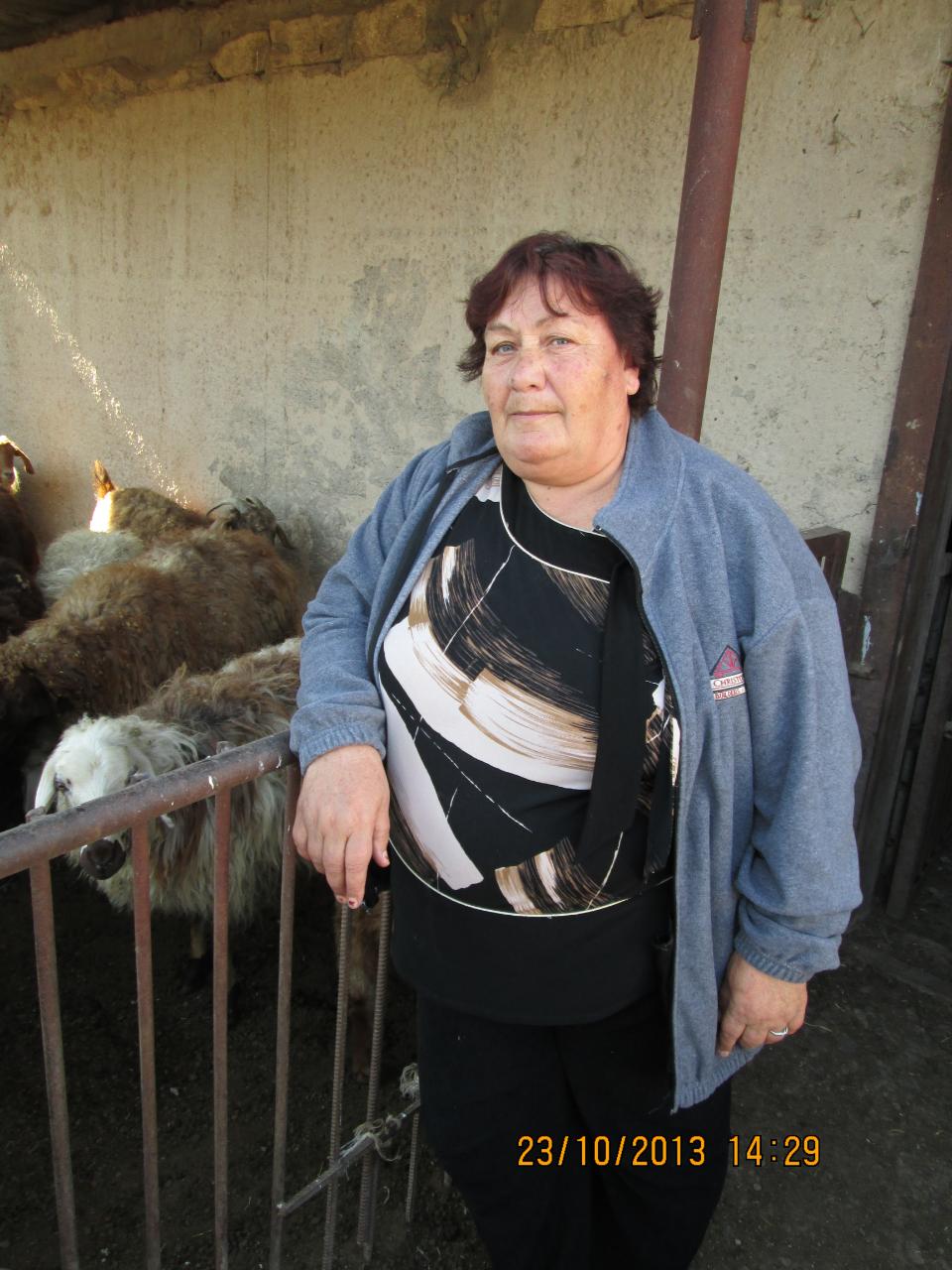 Borrower image