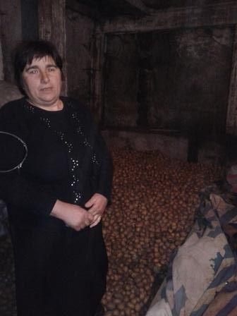 Borrower image