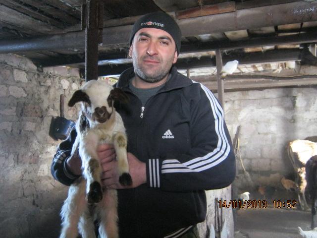 Borrower image