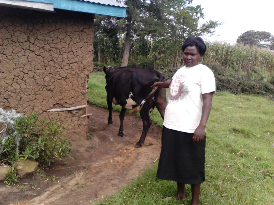 Borrower image