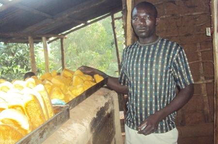 Borrower image