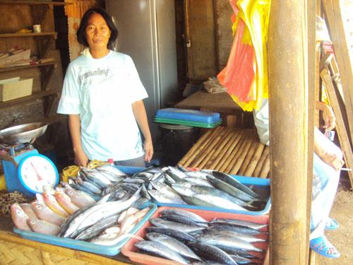 Borrower image