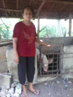 Borrower image