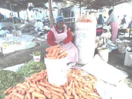 Borrower image