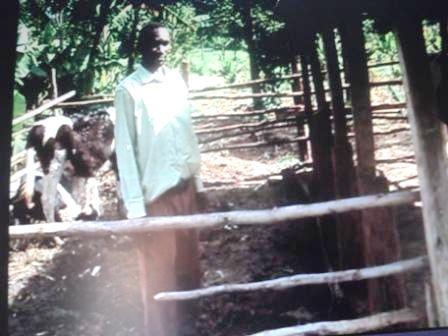 Borrower image