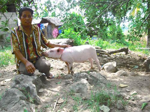 Borrower image