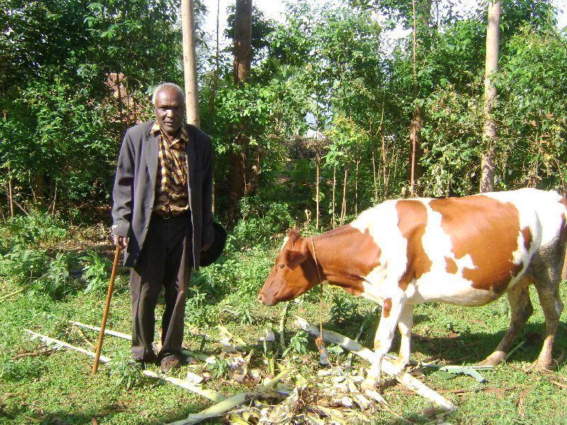 Borrower image