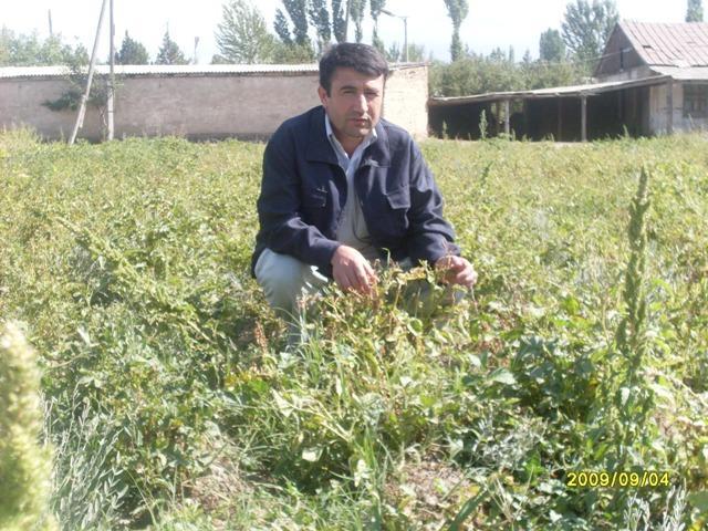 Borrower image