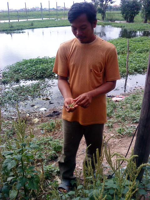 Borrower image