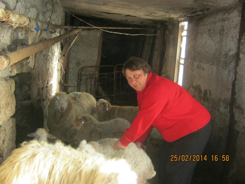 Borrower image