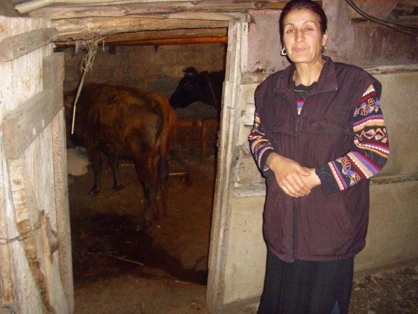 Borrower image