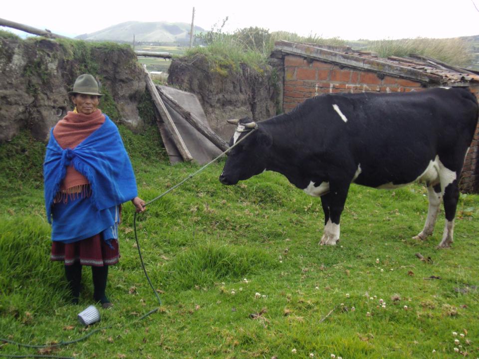 Borrower image
