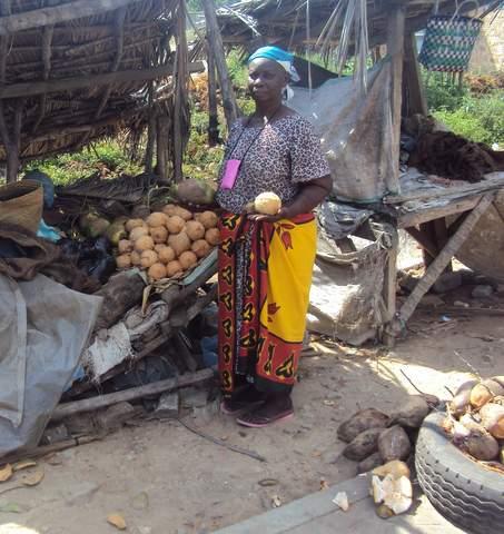 Borrower image