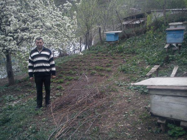 Borrower image