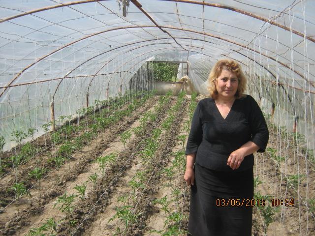 Borrower image