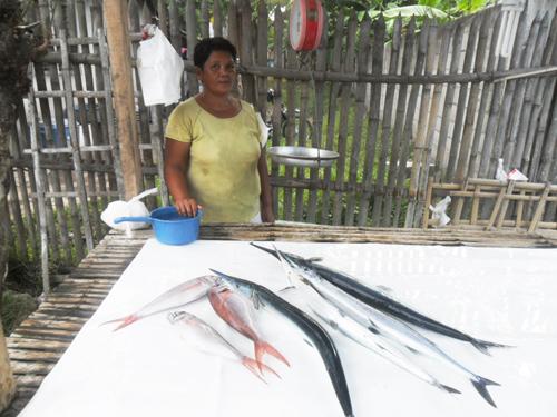 Borrower image