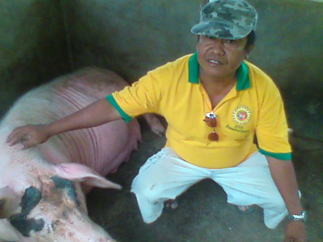 Borrower image