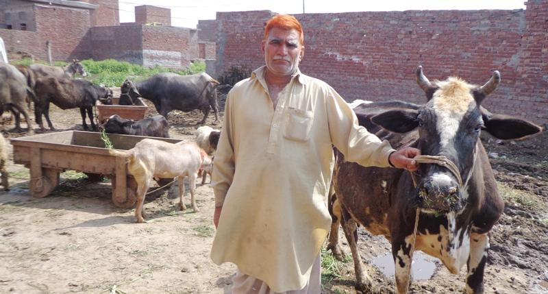 Borrower image