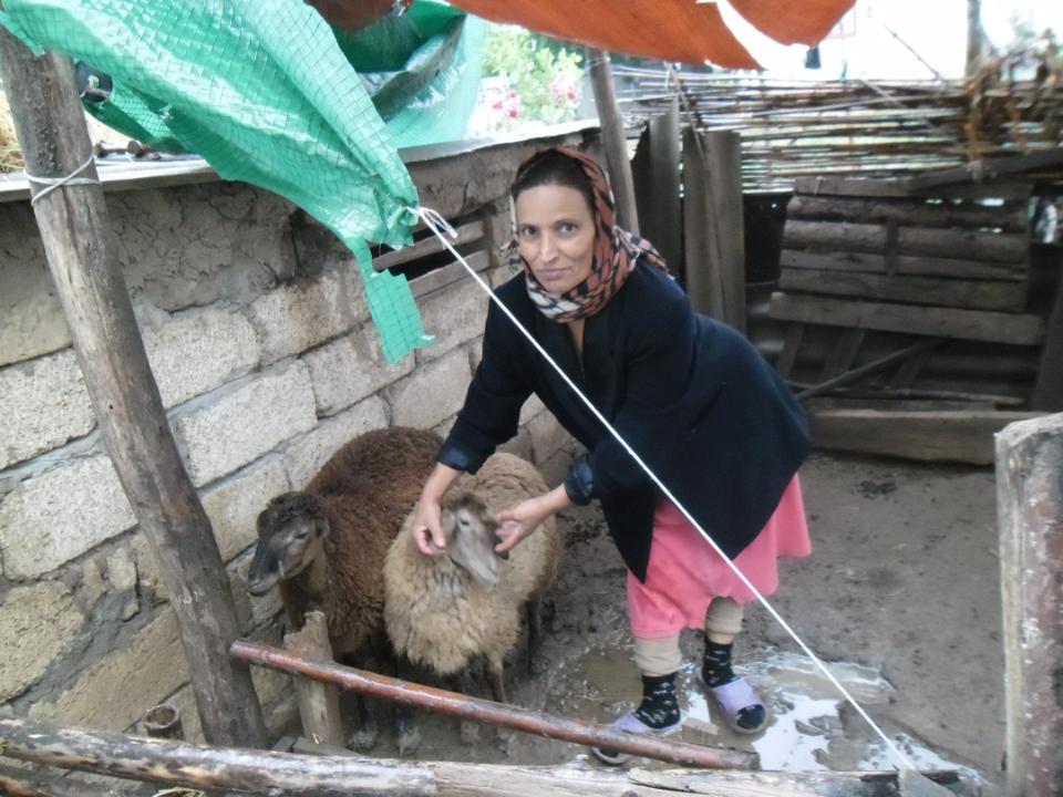 Borrower image