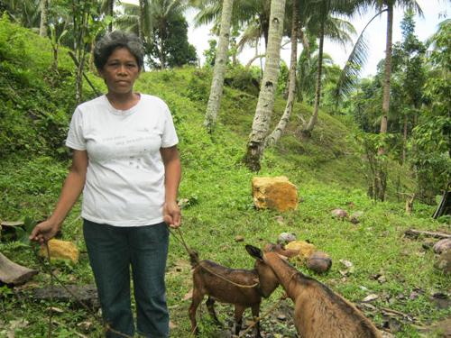 Borrower image