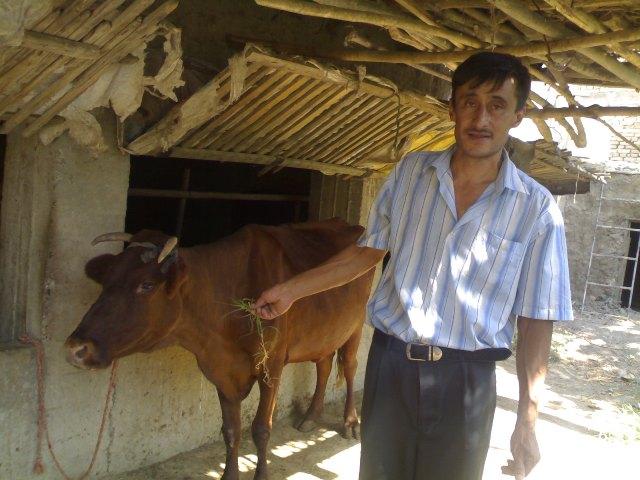 Borrower image