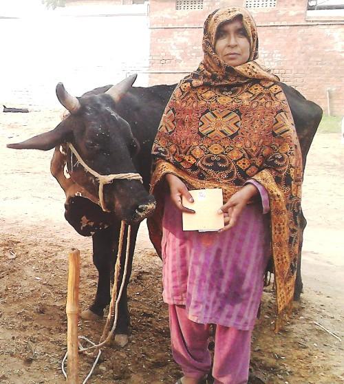 Borrower image