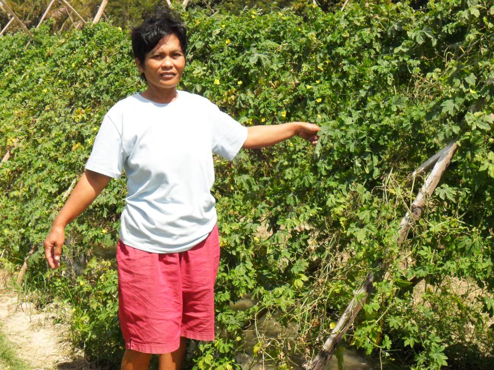 Borrower image
