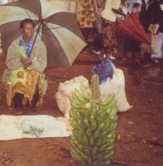 Borrower image