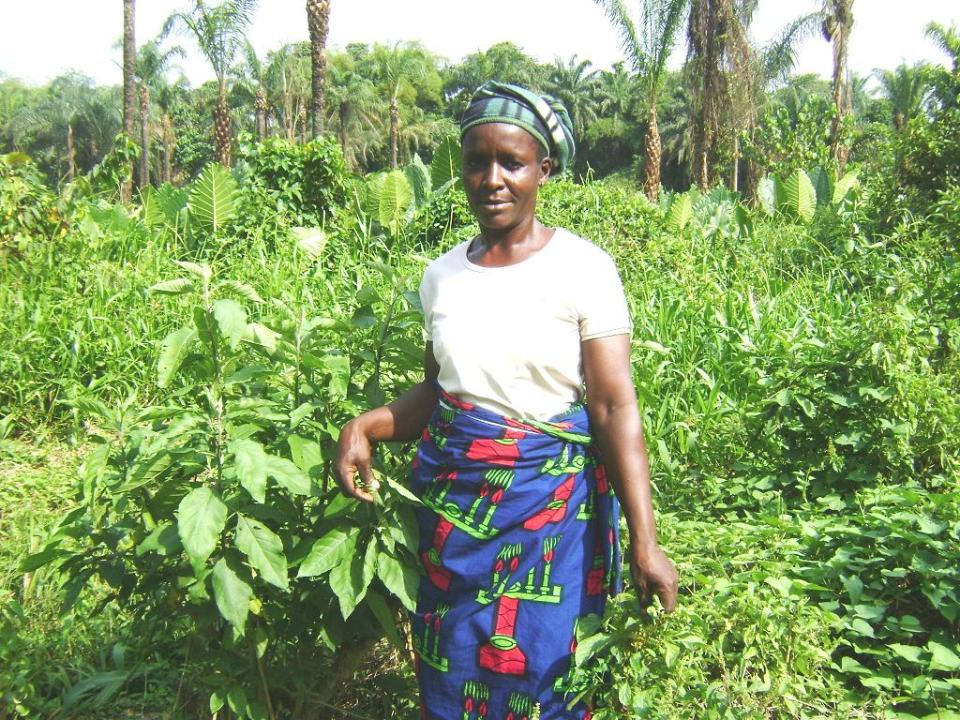 Borrower image