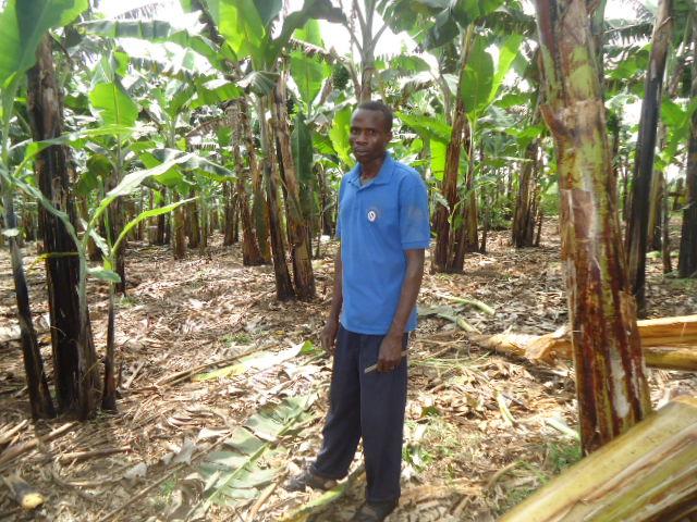 Borrower image
