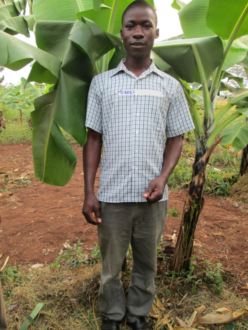 Borrower image