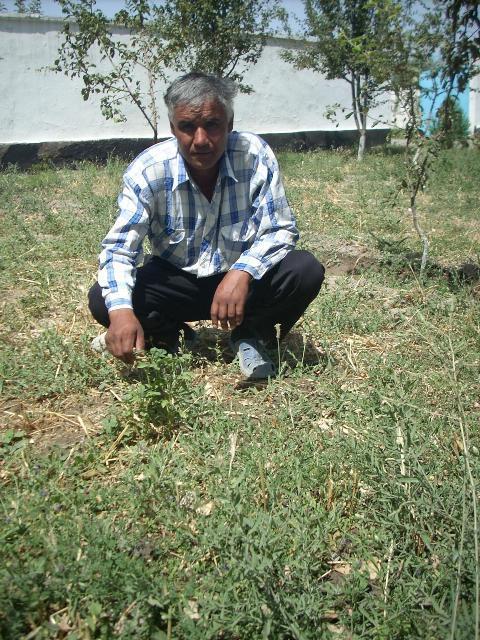 Borrower image
