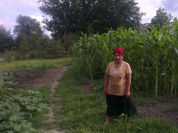 Borrower image