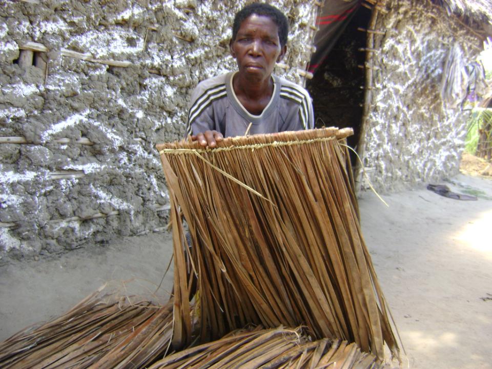 Borrower image