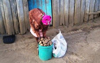 Borrower image