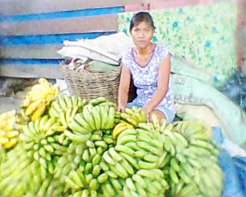 Borrower image
