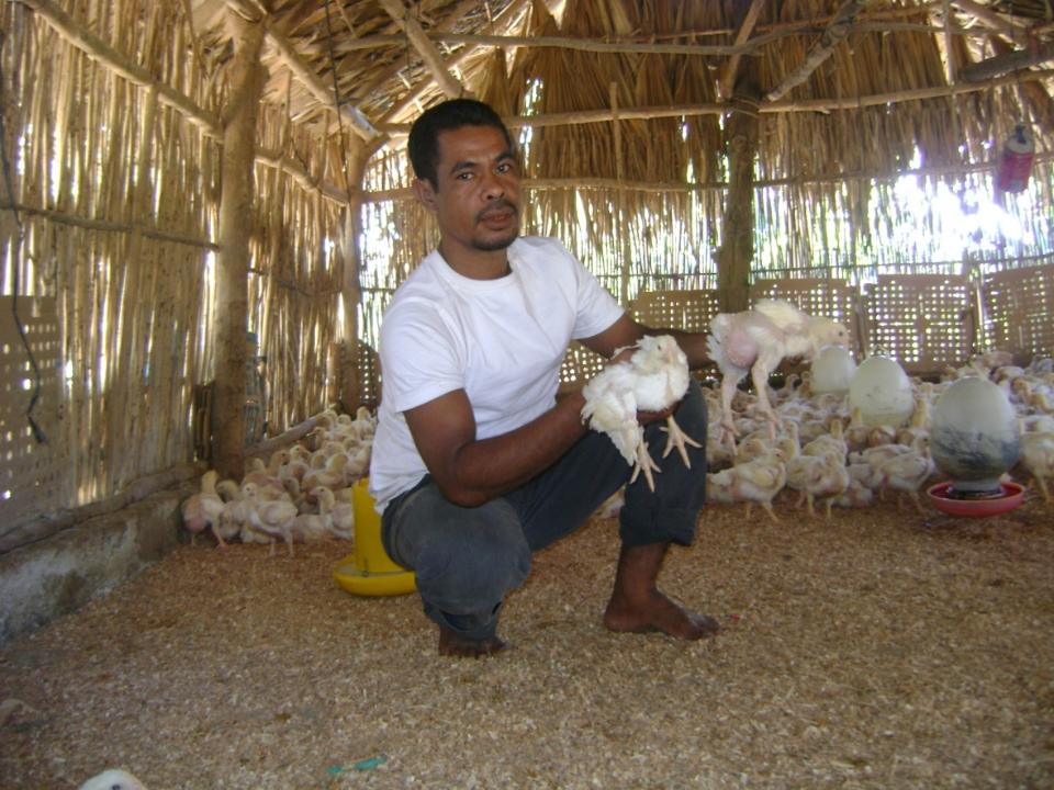Borrower image